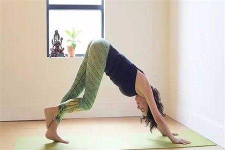 1569316810715864.jpg 下犬式