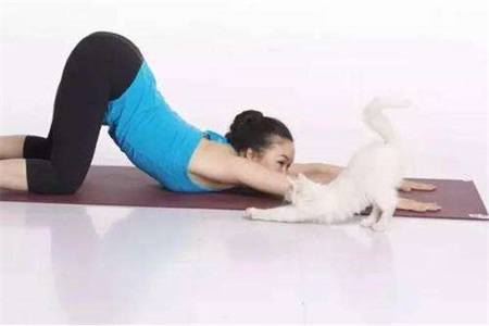 1569489193880495.jpg 瑜伽