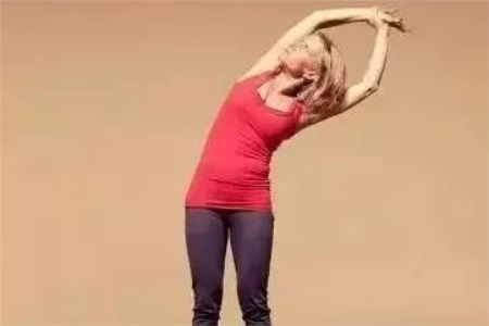 1577071827690590.jpg 瑜伽初入门教学视频