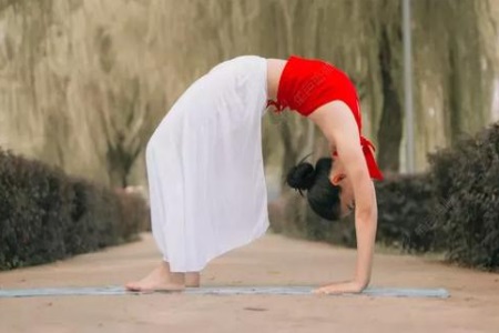 1555558482341881.jpg q.JPG