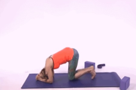 1556075566293731.jpg t.JPG