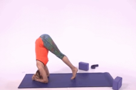 1556075589917712.jpg b.JPG