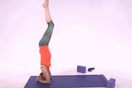 1556075599428491.jpg f.JPG