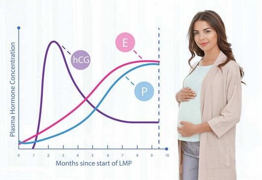 香港验血主要机构,全面信息 让你一目了然
